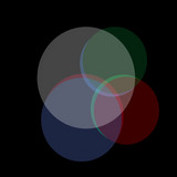 Montage Collective profile