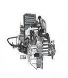 Quadroon profile