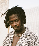 artist image