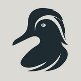 The Wood Drake Sessions profile