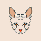 Kuma profile
