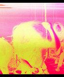 Loser photo 3