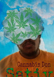Cannabis Don profile