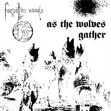 Forgotten Woods