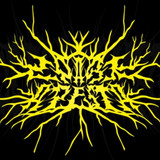 artist image