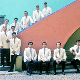 artist image