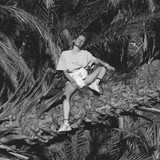 artist image