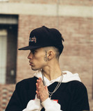 artist image