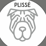 Plissé | Follow on Spotify, YouTube Music, Amazon Music & more