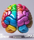 artist image