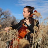 artist image