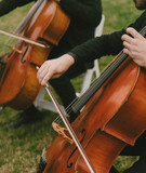 Rhose Studio Strings