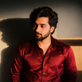 artist image