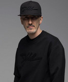 artist image