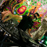 artist image