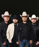 Los Elementos de Culiacan