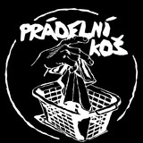 Image of Prádelní koš