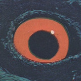 artist image