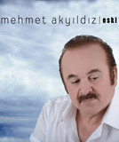 artist image