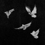 artist image