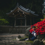 WHEREAMI profile