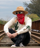 artist image