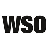 Washington Street Orchestra profile