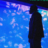artist image