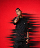 artist image