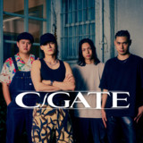 C-GATE photo 3