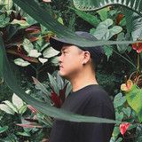 Free Ya Mind - song and lyrics by Soulflex | Spotify