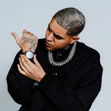 artist image