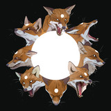 Foxes on the Run profile