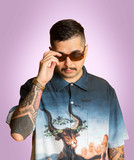 artist image