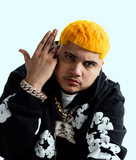 artist image