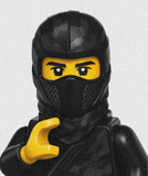 artist image