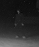 Threeseven profile