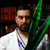 artist image
