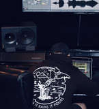 artist image