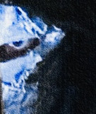 artist image