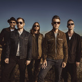311 profile