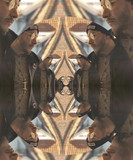 artist image