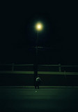 Xavex profile