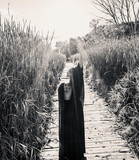 Becky Shaheen