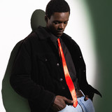 artist image