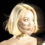 artist image