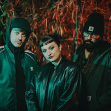 artist image