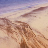artist image