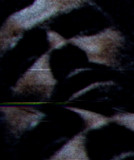 artist image