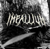 Impallium profile